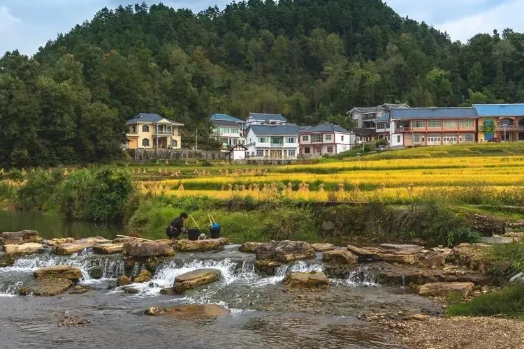 花茂村与乡村振兴